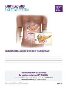 Anatomical Tear Pad